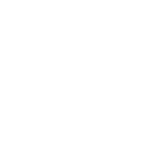 2020_GraceYIR_logo_preload
